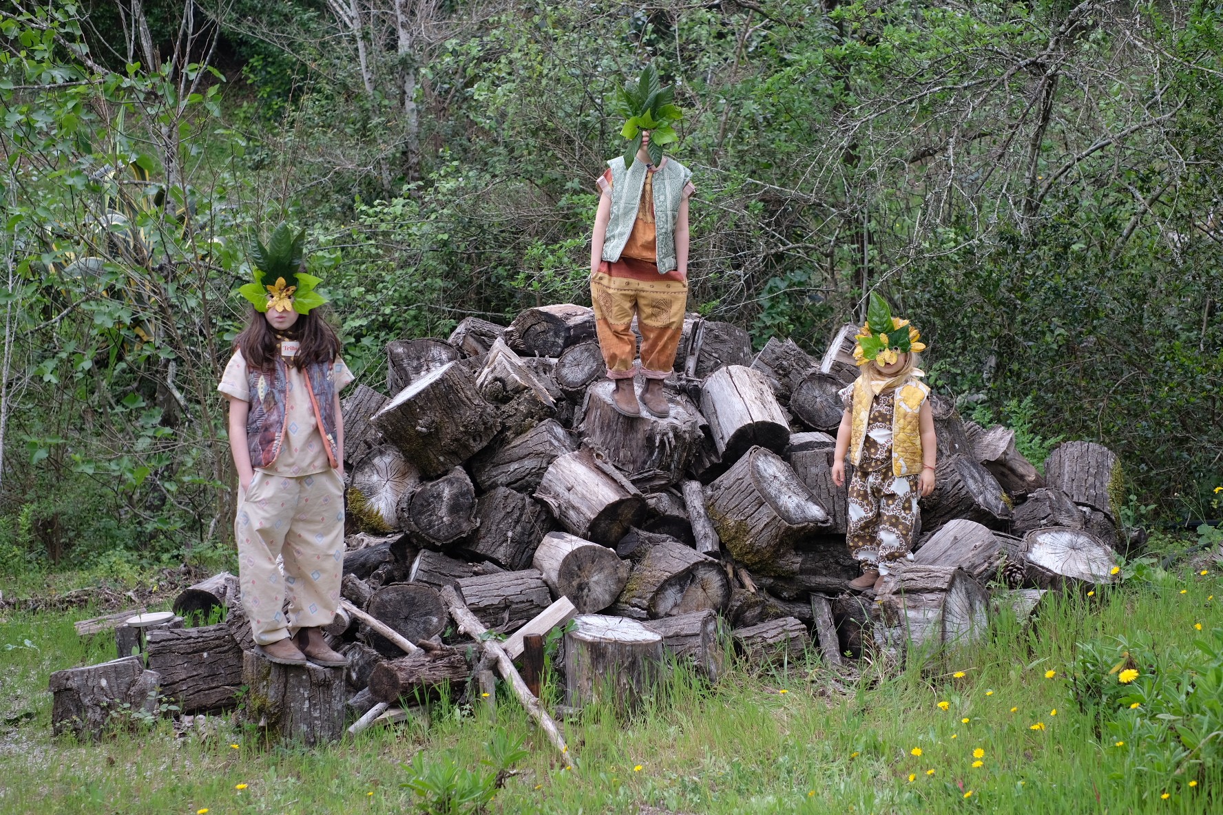 Tribu
